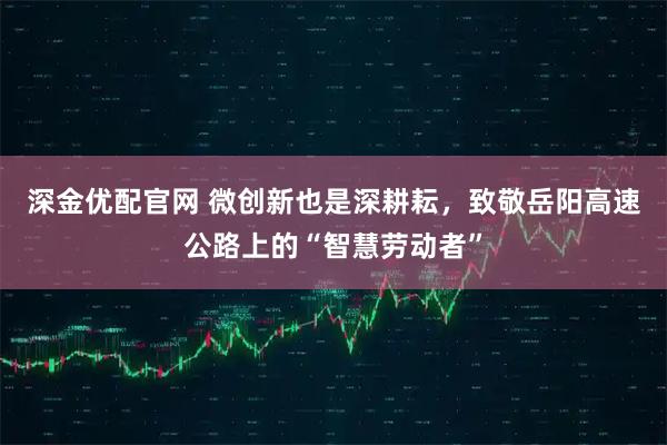 深金优配官网 微创新也是深耕耘，致敬岳阳高速公路上的“智慧劳动者”